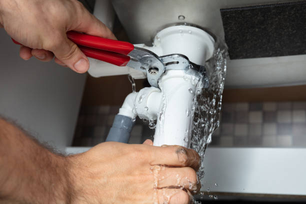 Best Carpet water damage restoration  in Armada, MI