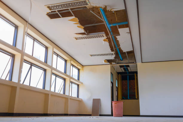 Best Water damage restoration specialists  in Armada, MI