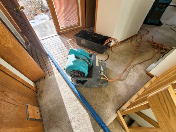 Best Flood restoration services  in Armada, MI