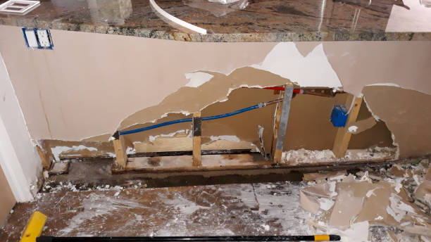 Best Flooded house restoration  in Armada, MI