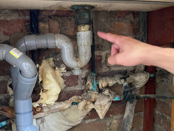 Best Ceiling water damage repair  in Armada, MI